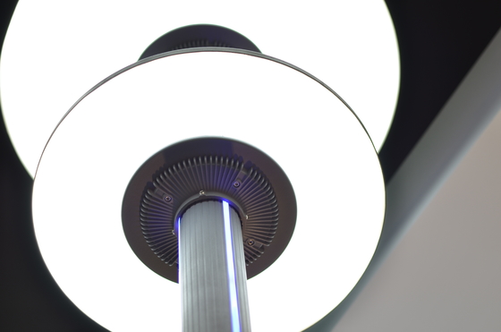 Kreis IP65 zwei formte Aluminiumhof-Lampen, zwei Lichtquellen mit Lampen-Streifen